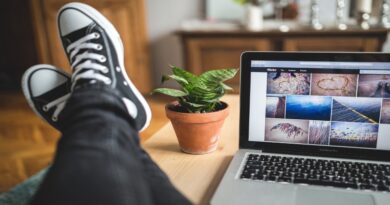 Mejores ideas de negocios online para emprender