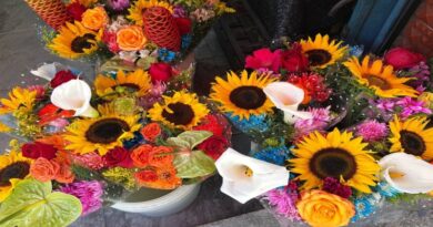 Feria de Las Flores promoverá la diversidad económica y el emprendimiento en Guaicaipuro