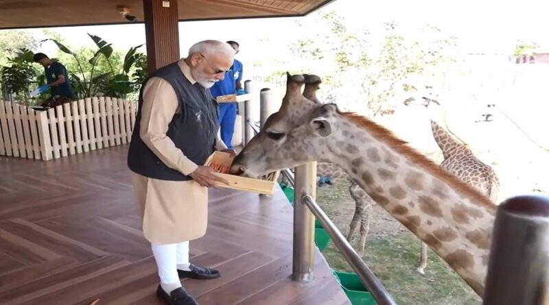 Corte Suprema de India emite fallo histórico para la conservación mundial