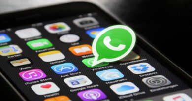 Psicólogos Explican Por Qué Algunas Personas Optan por No Publicar Estados en WhatsApp