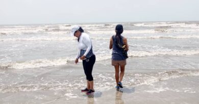 Investigadores del IVIC buscan impulsar proyecto sobre producción de semillas de guacuco “Tivela mactroides” para su repoblación