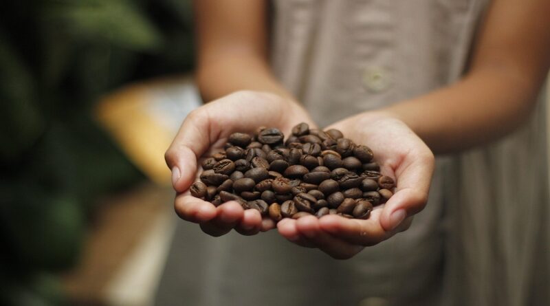 Cacao y café impulsan la economía venezolana con 5.500 nuevas marcas