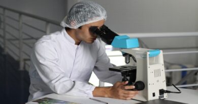 La autofagia: un mecanismo de reciclaje celular vital que revolucionó la medicina