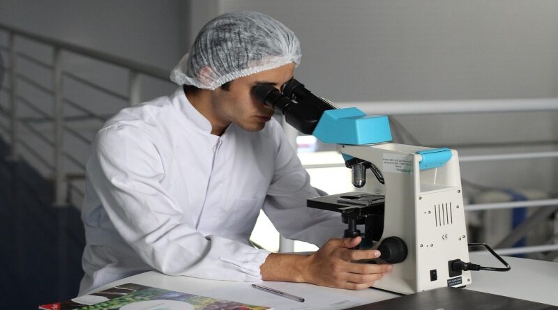 La autofagia: un mecanismo de reciclaje celular vital que revolucionó la medicina