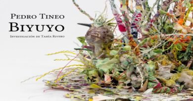 Exposición individual de Pedro Tineo se presenta en Cabinet Gallery