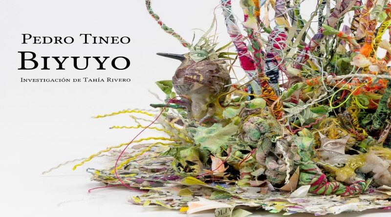 Exposición individual de Pedro Tineo se presenta en Cabinet Gallery