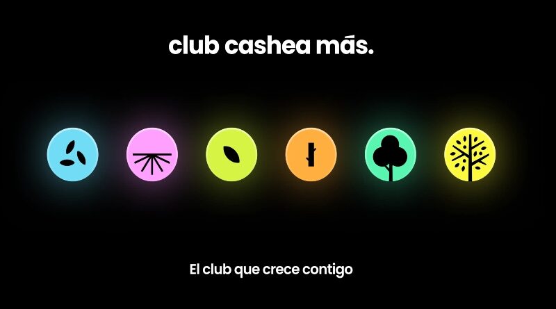 Cashea Redefine el Crédito en Venezuela: La Fintech que ya está en el 40% de los Bolsillos