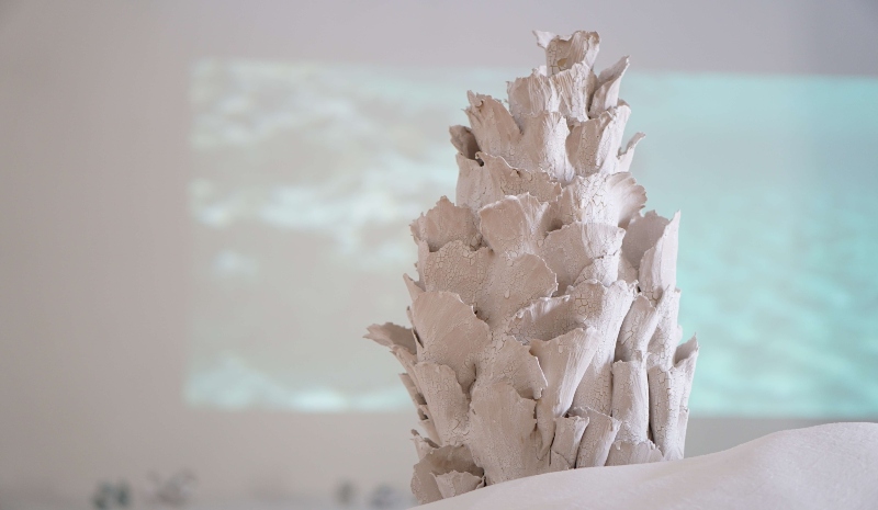 El artista español Eduardo Palomares desarrolla residencia artística en El Cercado