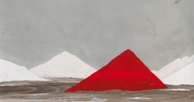 Cerdeña más allá de los estereotipos: una exposición fotográfica en el Instituto Italiano de Cultura de Miami