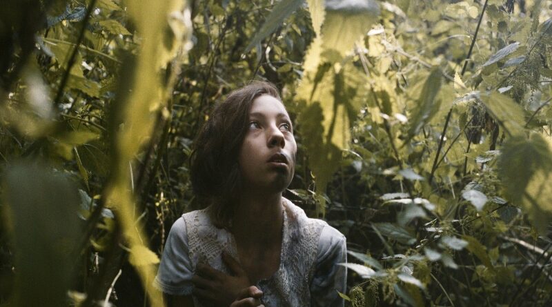 Cine fantástico iberoamericano triunfa en el festival El Grito 2025