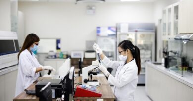 Colágeno Marino: El Secreto de la Juventud y Bienestar que Viene del Mar