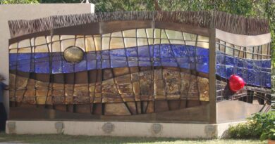 Obras de Daniel Suárez se exponen en la Facultad de Arquitectura y Urbanismo de la UCV