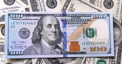BCV proyecta inflación de un dígito a partir de mayo y prevé una "década dorada" para la economía