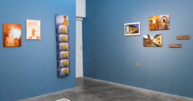 Galería ABRA llevará a cabo agenda de actividades enmarcadas en la exposición de Freisy González