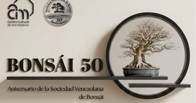 BONSÁI 50: Arte ancestraly vanguardia tecnológica se conjugan en el CCAM
