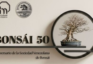 BONSÁI 50: Arte ancestraly vanguardia tecnológica se conjugan en el CCAM BONSÁI 50: Arte ancestraly vanguardia tecnológica se conjugan en el CCAM